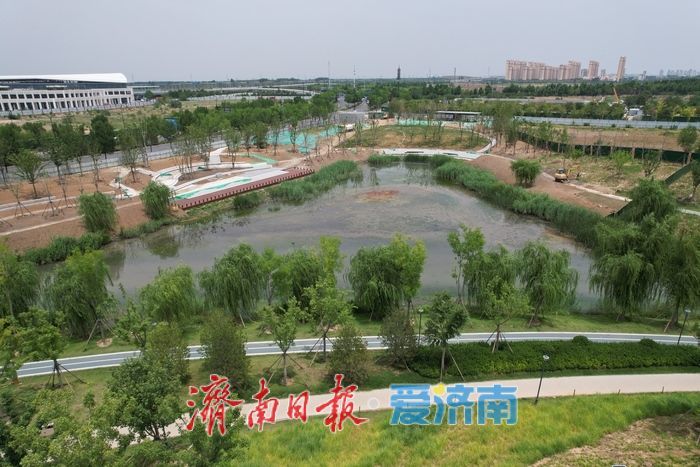 项目强省会｜济南龙脊河公园改造工程有序推进，预计7月中旬以崭新面貌开放