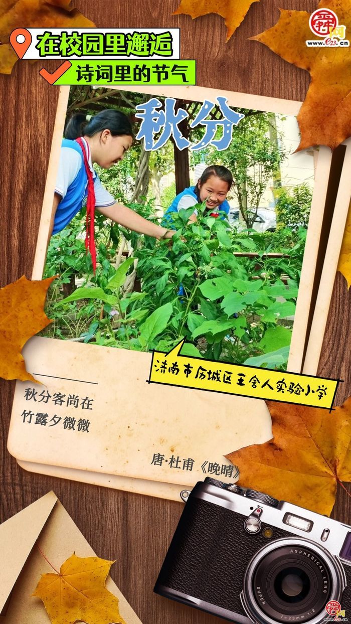 在校园里邂逅诗词里的节气｜秋分