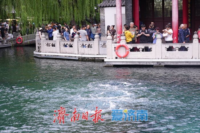 一年四季 泉在济南丨秋雨润泉！济南“泉水游”持续在线