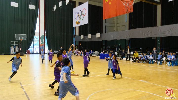 2026年济南市中小学生体育联赛篮球、排球比赛（小学组）开赛