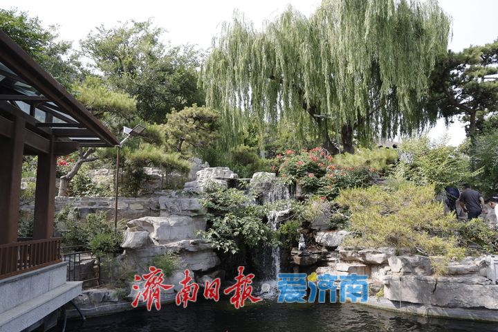 一年四季 泉在济南丨昔日小山村变身旅游打卡地