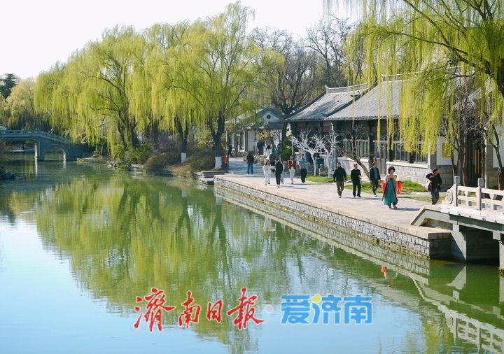 明湖春日小景多姿多彩，你动心了吗？