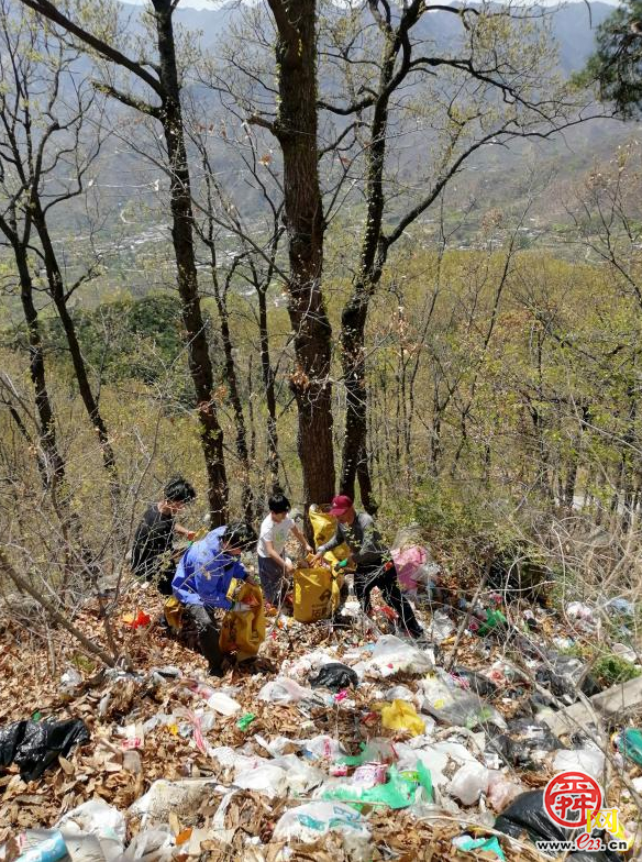 百人聚力净山野 生态守护筑青山 济南“一城山色”药乡森林公园百人净山活动圆满收官