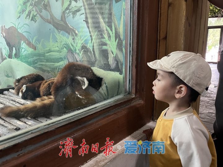 野趣盎然动物园