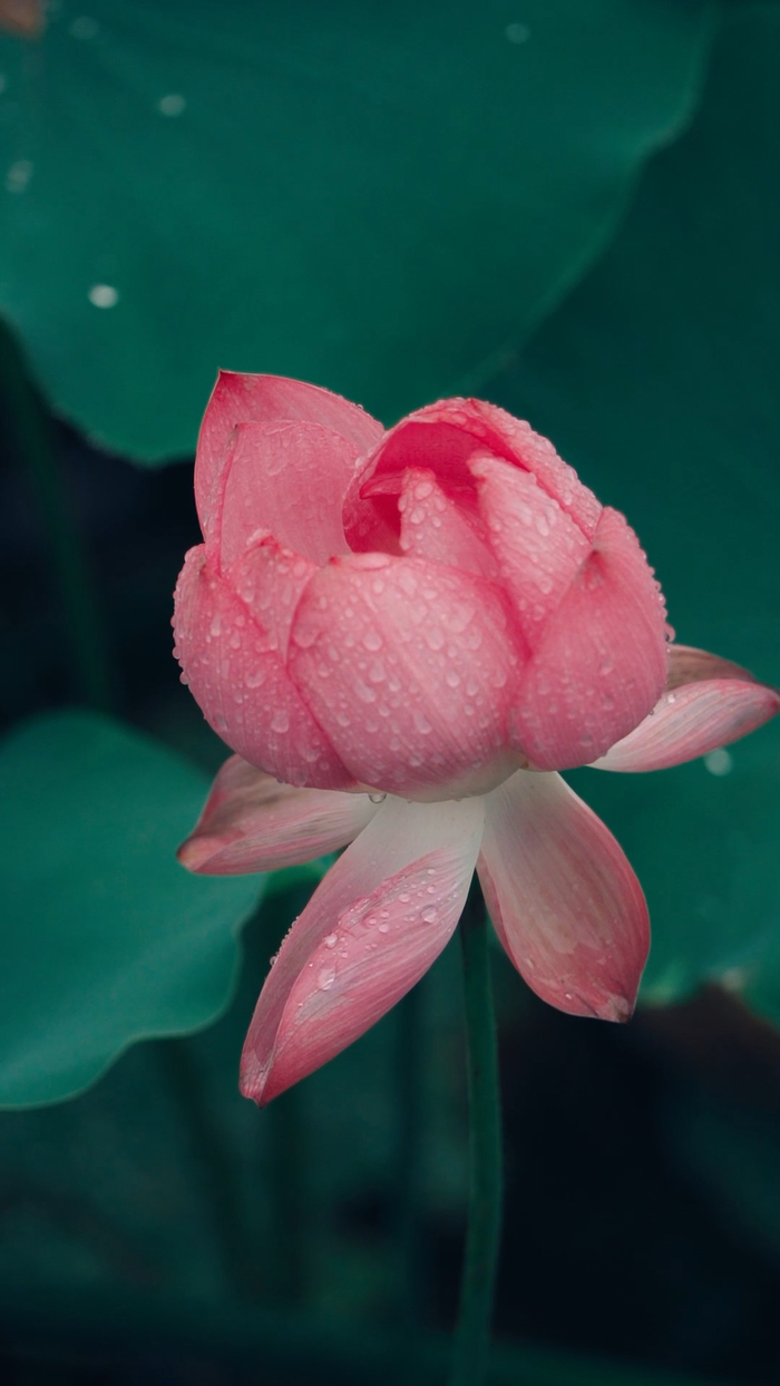 在华山邂逅现代版的“孤舟蓑笠翁”