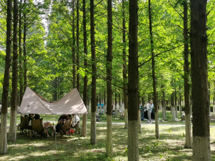 “音符”与“花海”相遇！济南鲜花港音乐露营季解锁夏日超燃体验