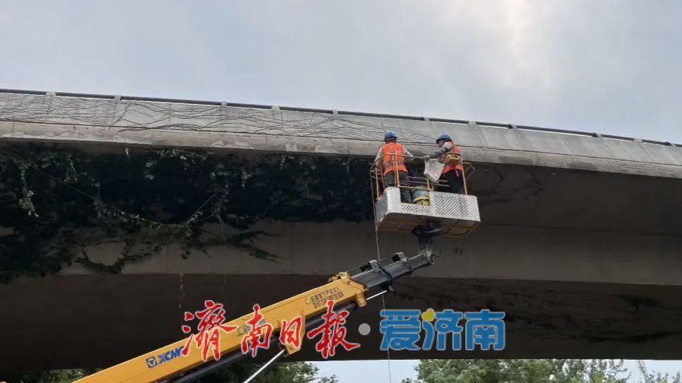 立交桥“导水小耳朵”痊愈啦！