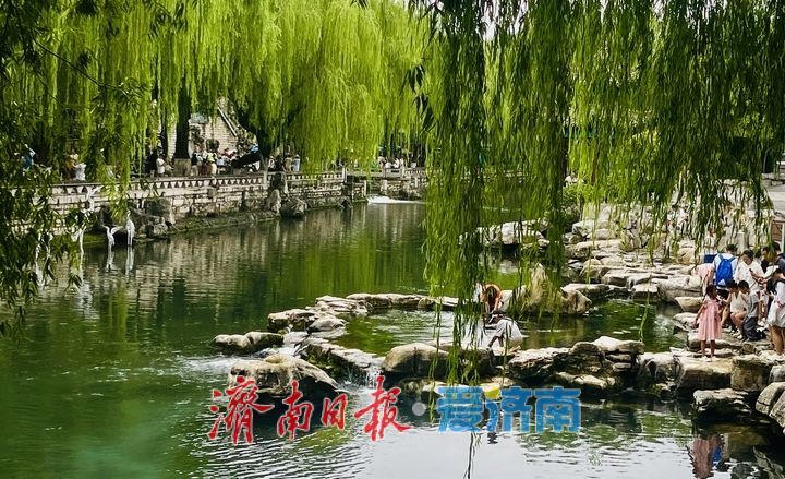 黑虎泉水位飙至29.79米创今夏新高，游客雨中尽享“虎啸”胜景