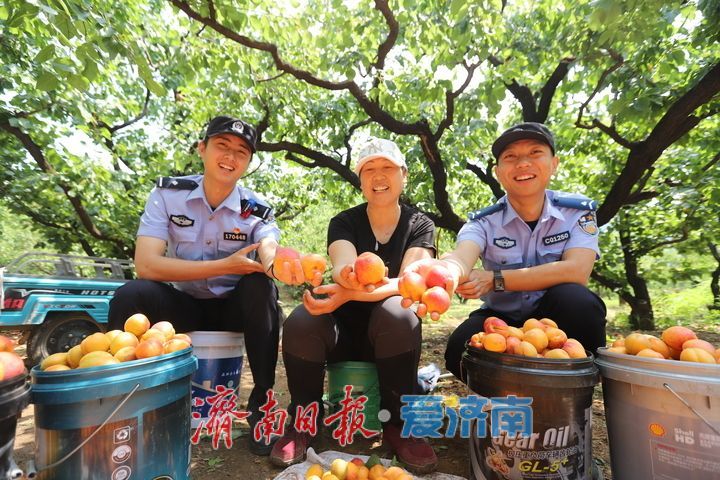 “杏林警务”护航御杏丰收季