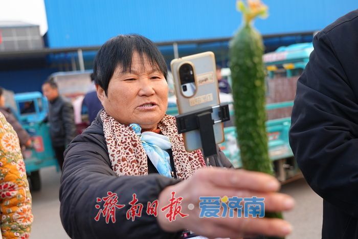 晨光下的车水马龙：黄瓜批发市场开市忙