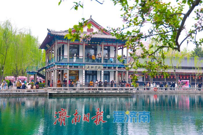 晚樱盛放续春意 五龙潭再迎赏樱高潮