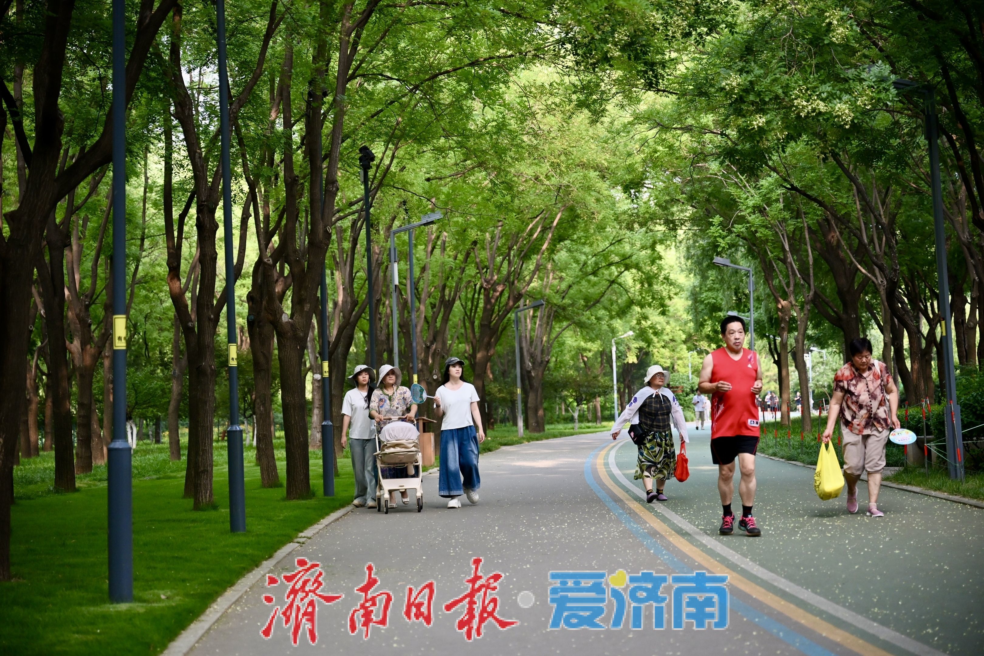 一年四季 泉在济南丨济南森林公园绿地草坪变身避暑胜地，市民林间纳凉乐享夏日慢时光