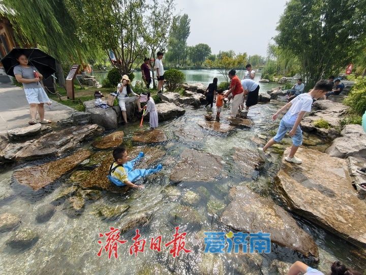 一年四季 泉在济南丨千年白泉焕生机 生态开放一周年