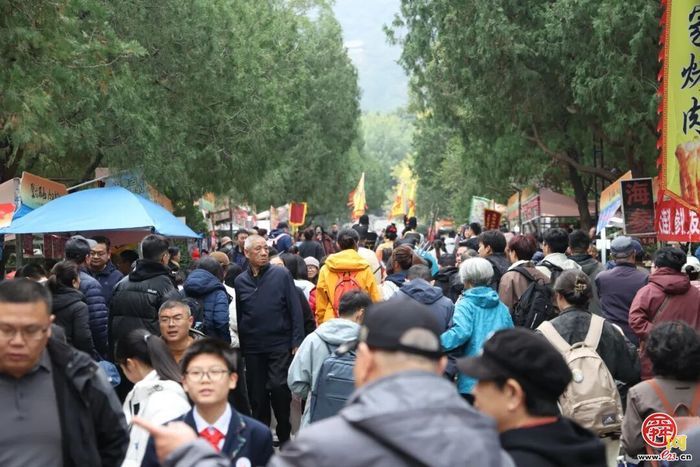 登兹历山·今又重阳 第42届千佛山“九月九”重阳山会人气爆棚