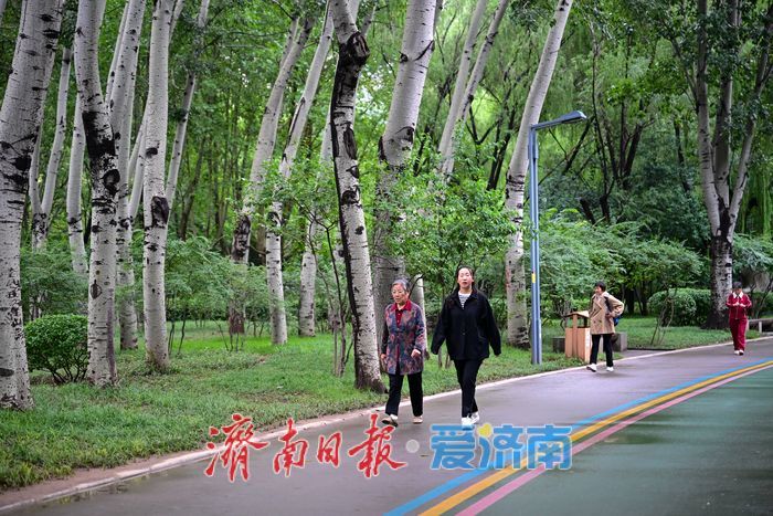 一年四季 泉在济南丨雨后泉城绿意浓，济南森林公园焕发活力