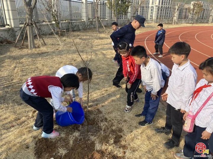 春光作序 植此新绿——济南市历下区龙奥学校植树节主题活动