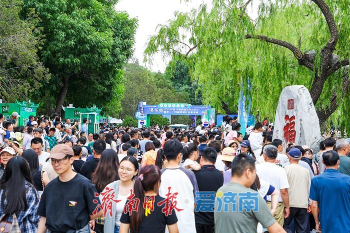 大明湖龙舟赛19日9时激情开桨！景区多彩活动共享端午佳节