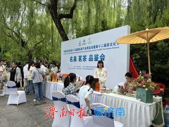赴一场泉茶之约：2025济南茶博会来了！