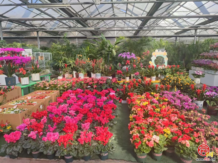 济南：坐着地铁逛公园，最新攻略来啦！地铁直达！