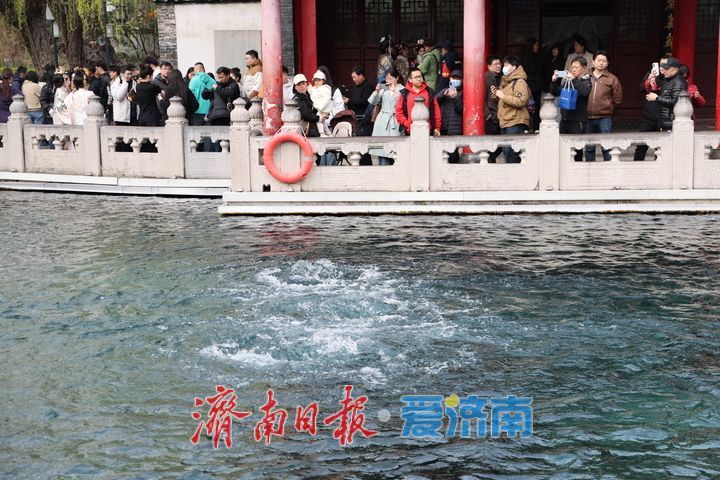 春雨泉涌迎客来