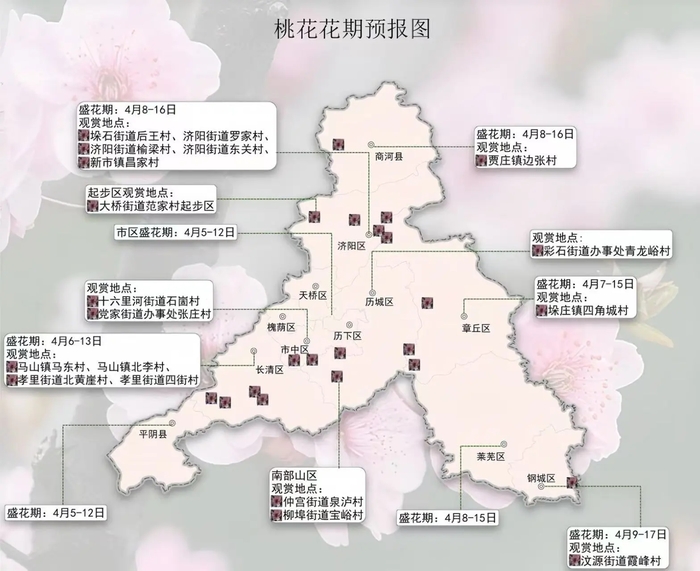 攻略速存→济南春日赏花地图更新！桃花樱花梨花花期来了
