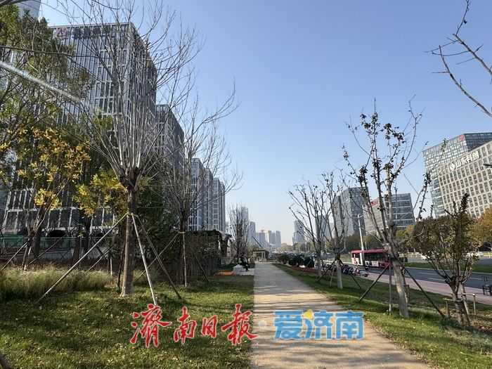 济南轨交4号线凤凰路站露真容 绿意环绕映城芯