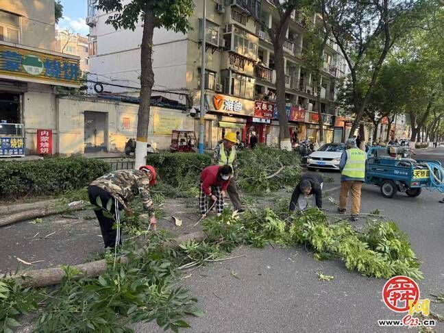 济南园林绿化部门快速行动，处置倒伏树木保安全