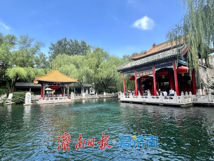 喜提三连涨！连日降雨给力，趵突泉水位逐日攀升