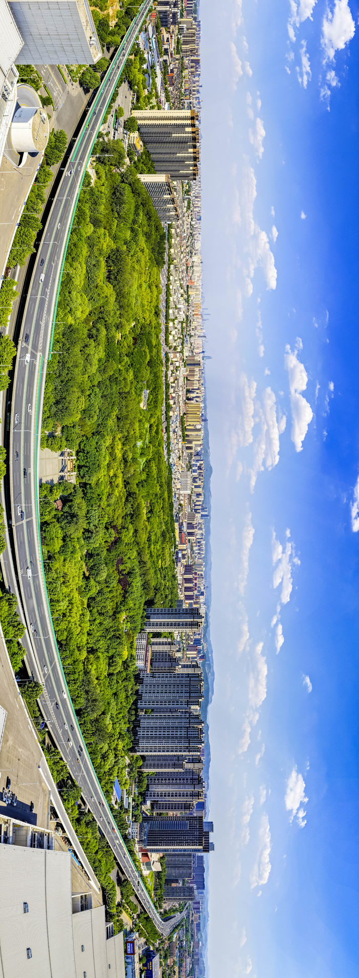 清风伴晴空 绿意满公园 泉城夏日氛围感拉满