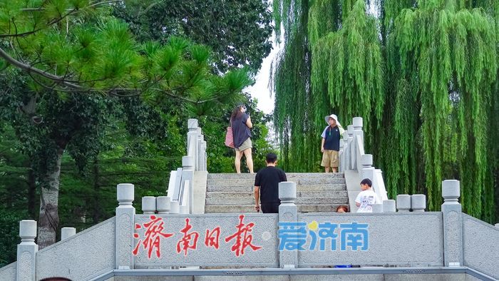 漫步明湖南岸 邂逅秋日湖柳风光