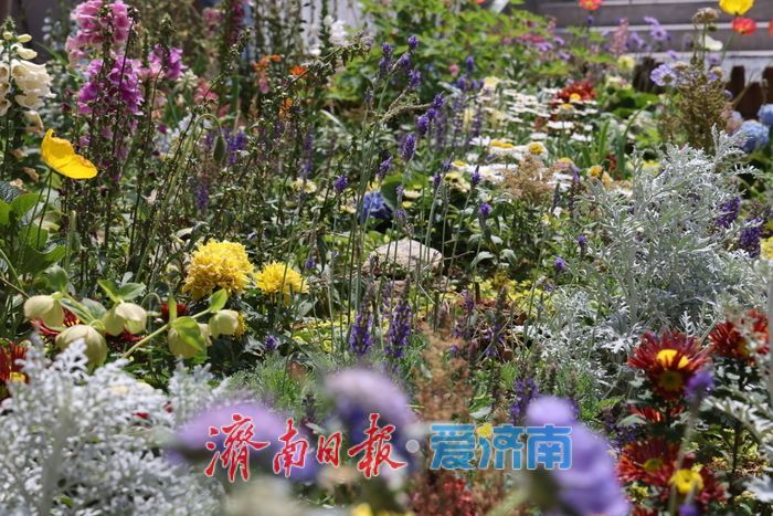 繁花映老街 上新街老建筑旁绘就油画美景