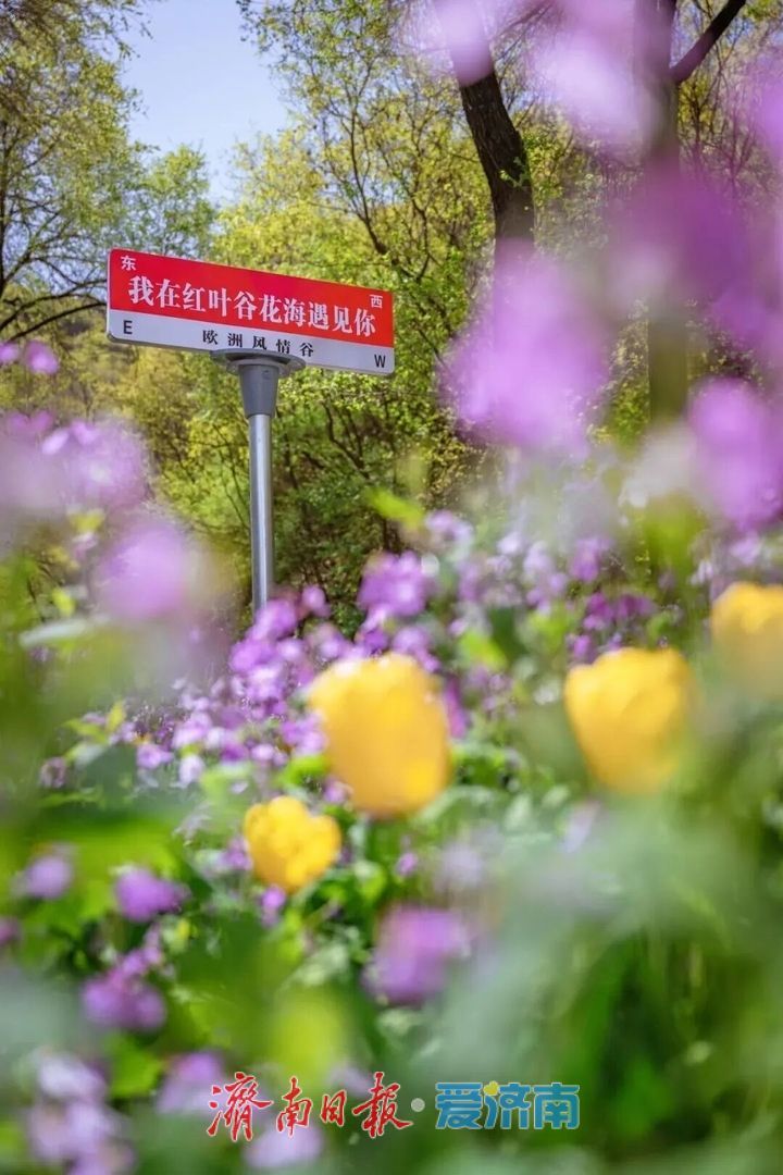 抓住假期的尾巴！济南这波春日快乐，今天必须赶上！