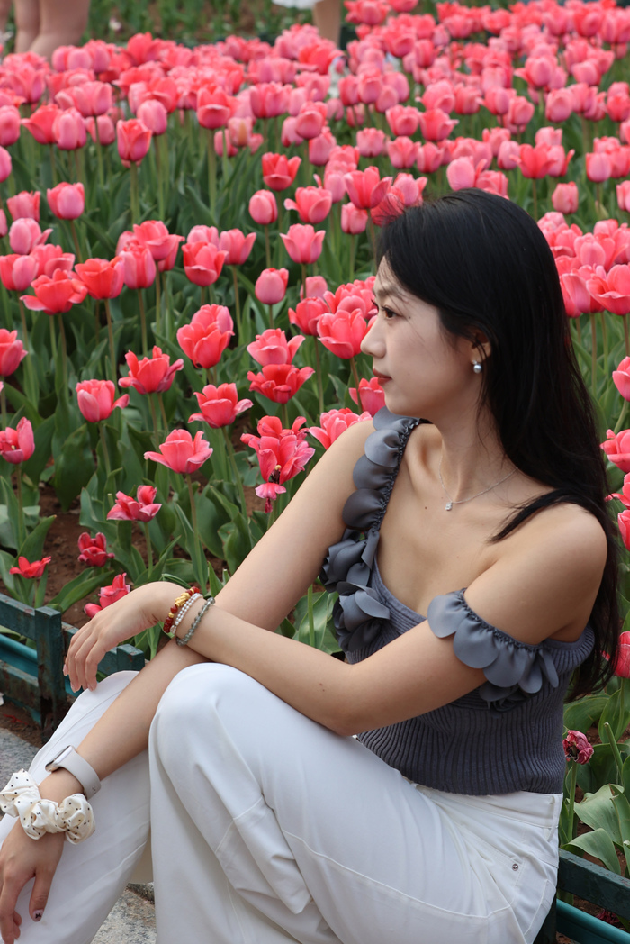 “郁”见美好！济南这里郁金香缤纷盛开，温馨浪漫