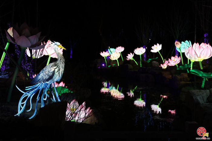 亮灯映泉城 文旅新标启新春 济南如梦令乐园李清照花灯点亮千年风雅