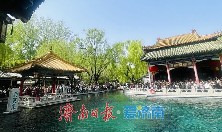 一年四季 泉在济南丨清明假期第二天，趵突泉人气爆棚 三股水景点前游客接踵摩肩