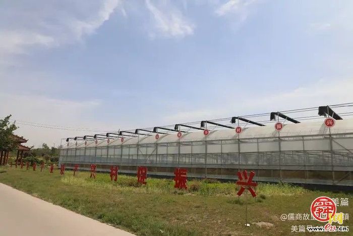 党建引领聚合力 产业赋能谱新篇 章丘区刁镇街道全面推进乡村振兴