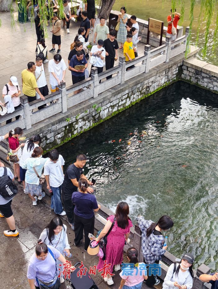 一年四季 泉在济南丨泉涌势头强劲！趵突泉、黑虎泉水位同比显著抬升