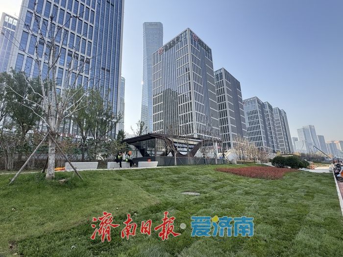 济南轨交4号线凤凰路站露真容 绿意环绕映城芯