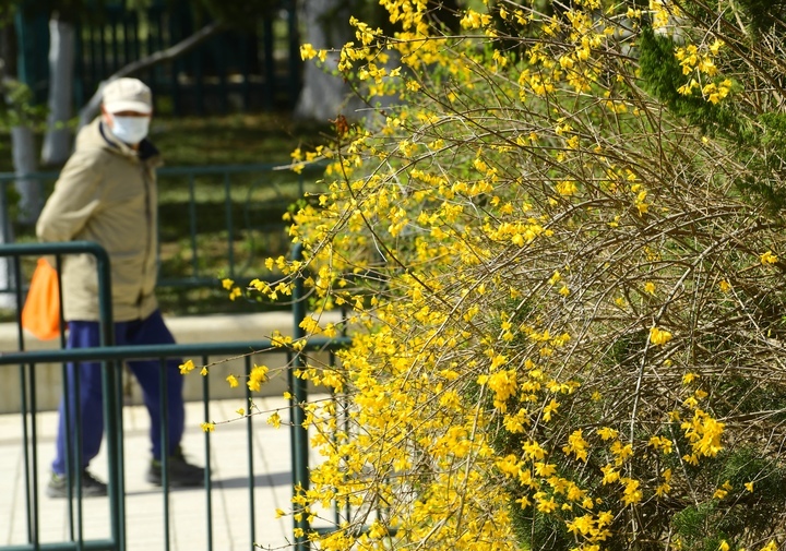 气温攀高 “泉城大客厅”满园春色关不住