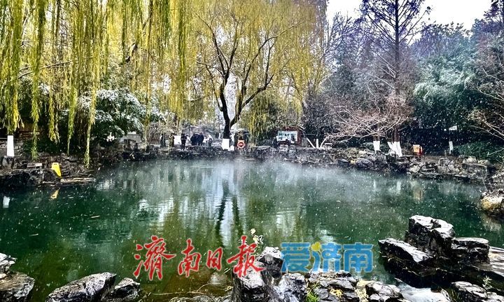 一年四季 泉在济南丨趵突泉“云雾润蒸”引客来