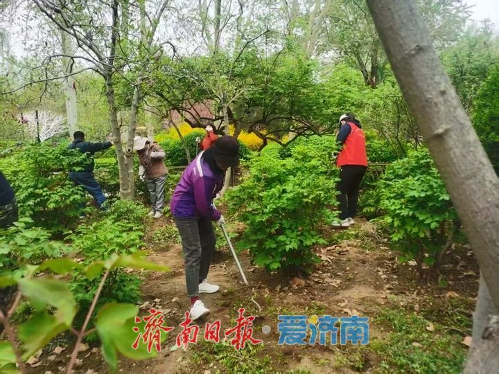 精耕细作绘春景 匠心管护焕生机 百花公园全面启动春季养护工作