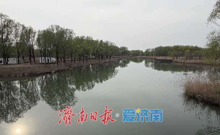这个春天，别只“Color Walk”，来济南赴一场“Bird Walk”