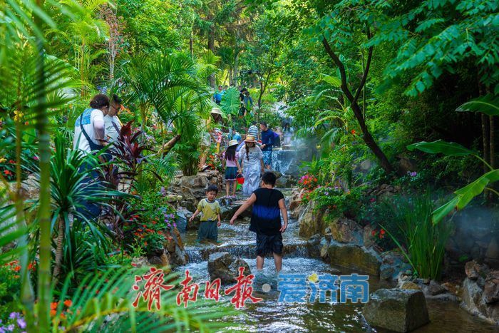 瀑布、溪流、雨林花谷，在济南九如山，感受大自然的清凉