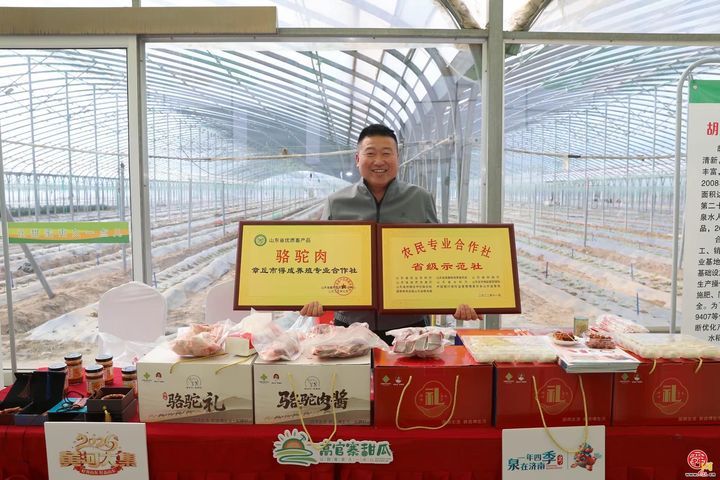 一年四季 泉在济南｜甜蜜赴大集 瓜香醉泉城