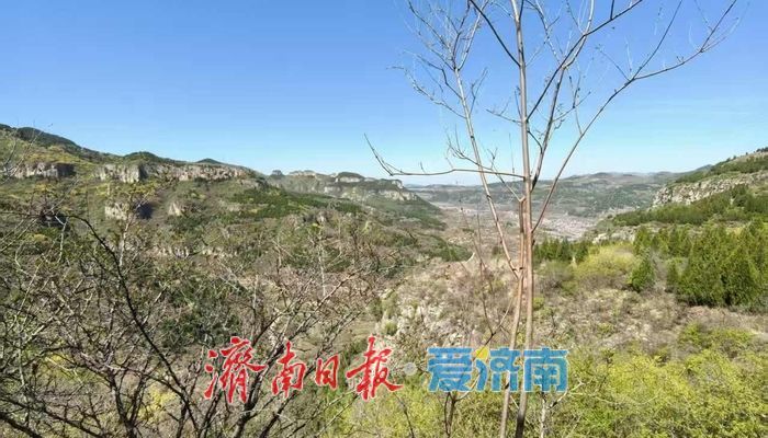 年轻人解锁“慢充式旅游”，济南这些新场景氛围感拉满