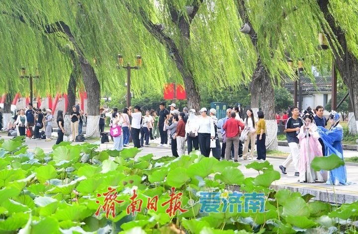 一年四季 泉在济南丨漫步青石板，徜徉大明湖，市民游客沉浸式体验泉城慢时光