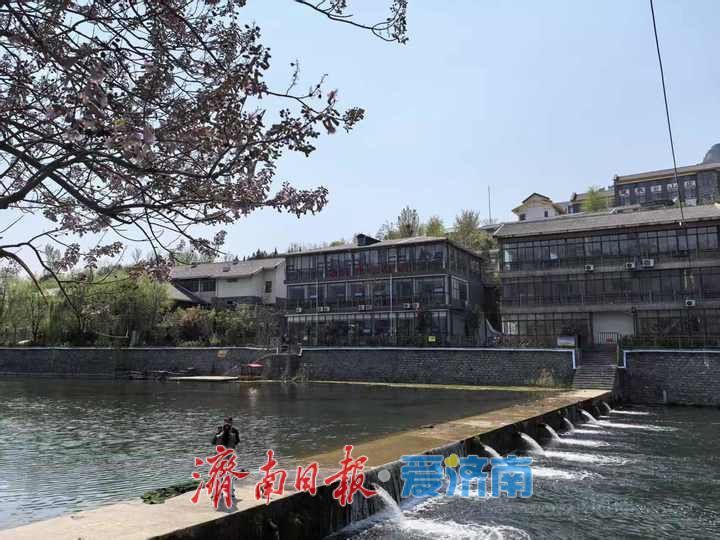 一年四季 泉在济南丨济南锦阳川河水潺潺春色浓 山水画卷引客来