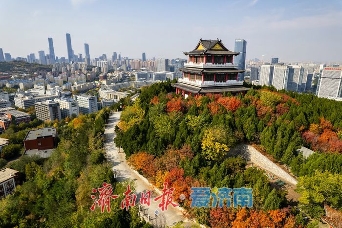 秋色正浓，济南大山坡公园变身“城市调色盘”