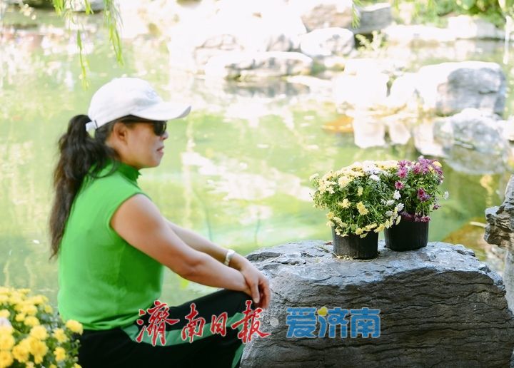 无忧泉边菊初绽，一城秋色待君来