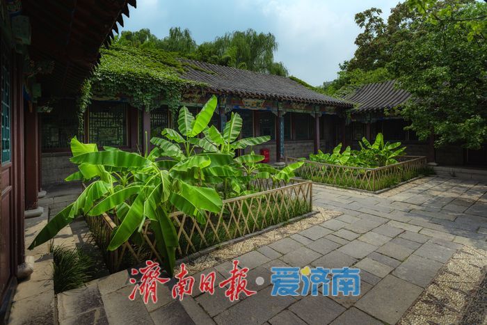 一年四季 泉在济南丨酷暑时节，来济南万竹园解锁夏日清凉